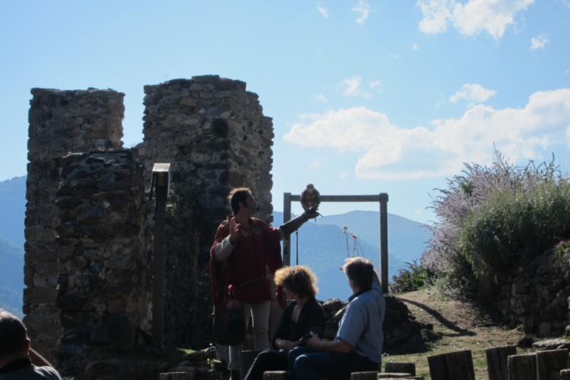 Vol de rapaces dans les ruines du château de Lordat.